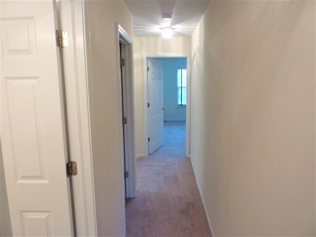 Building Photo - 2978 Belle Ln