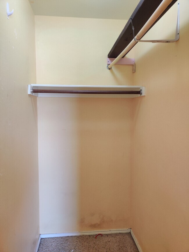 Building Photo - 3102 Via Helena Dr