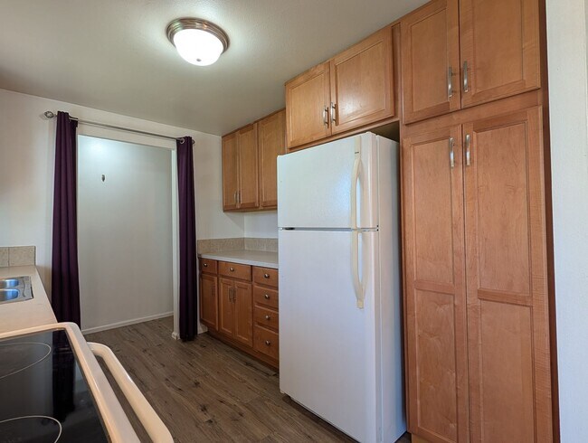 Building Photo - Great 3-Bed/1-Bath Home In Santa Clara Area!