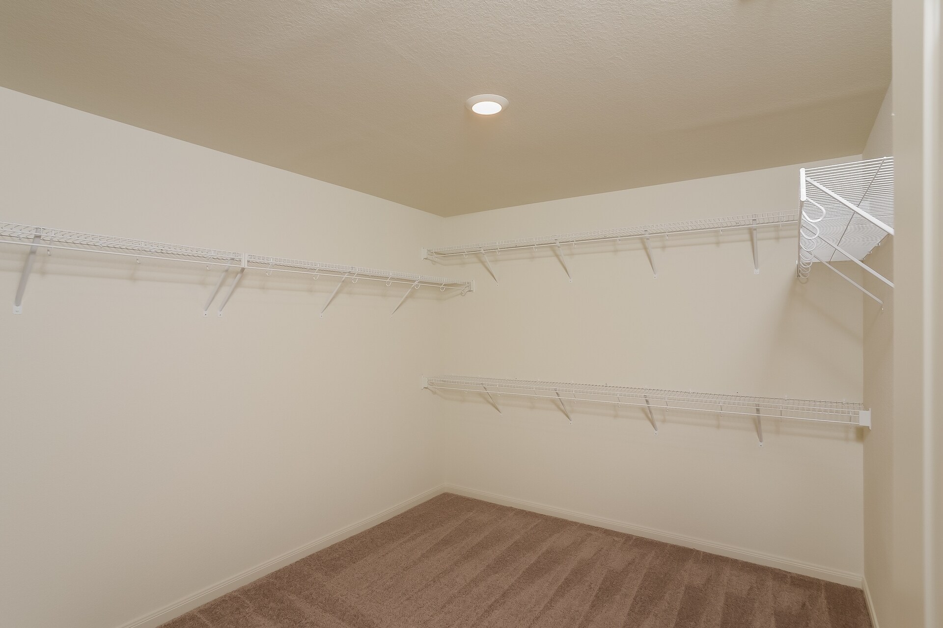 Building Photo - 7223 Calypso Cyn