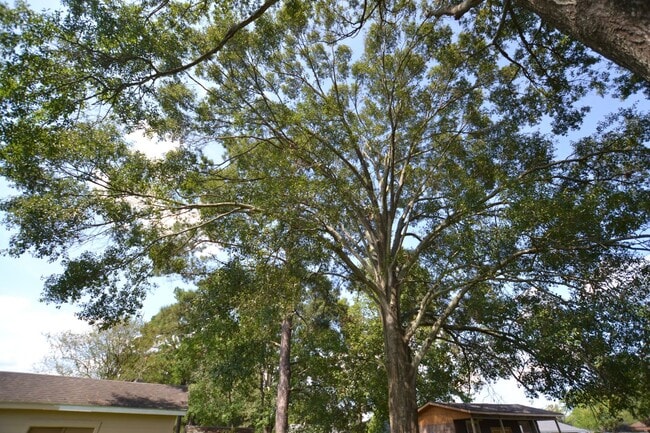 Building Photo - Must See!  Beautifully remodeled 3 bedroom, 2 bath home in Park Forest - Oakcrest Subdv