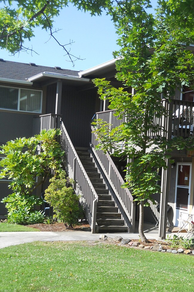 Pine Tree 209 NW Glenhart Ave Winston OR 97496 Apartment Finder