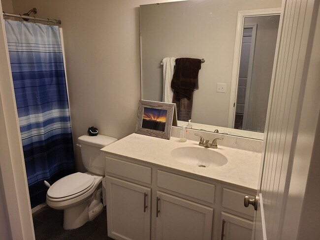 Building Photo - 3 Bedroom 2 bath home - The Landing at Mil...