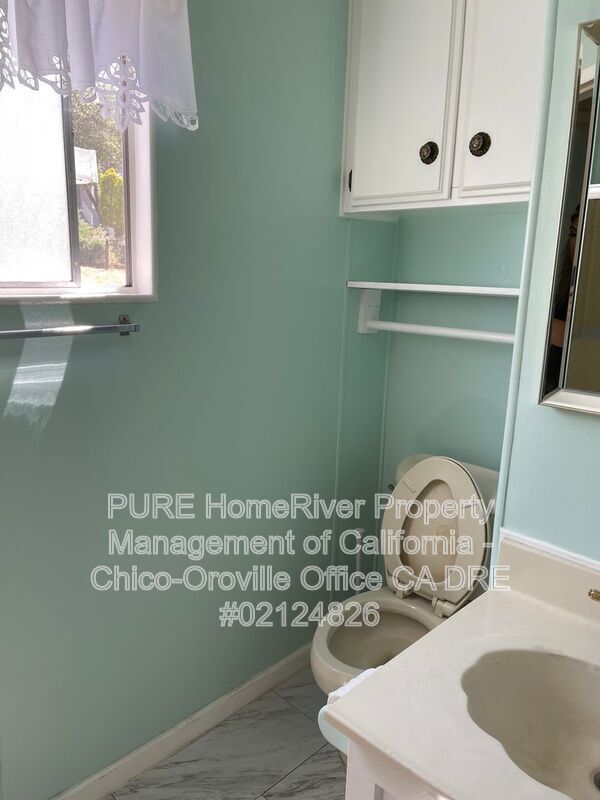 Building Photo - 533 Silver Leaf Dr