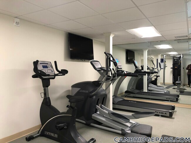 Building Photo - 22 Chauncy St