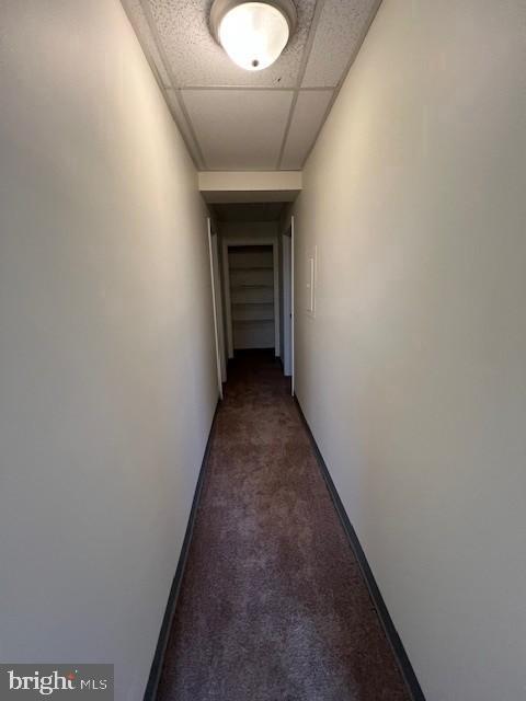 Building Photo - 51 Depaul St