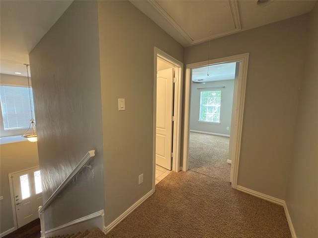 Building Photo - 11608 Lenox Ln