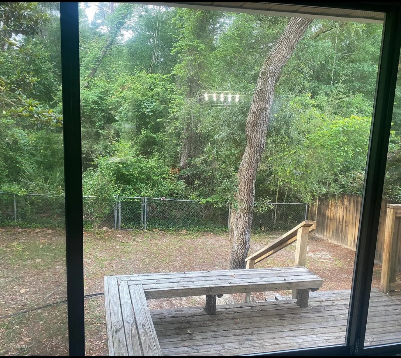 Bird sanctuary in backyard - 109 Cedar Ridge Way