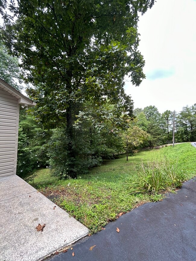 Building Photo - 513 Lapidary Ln