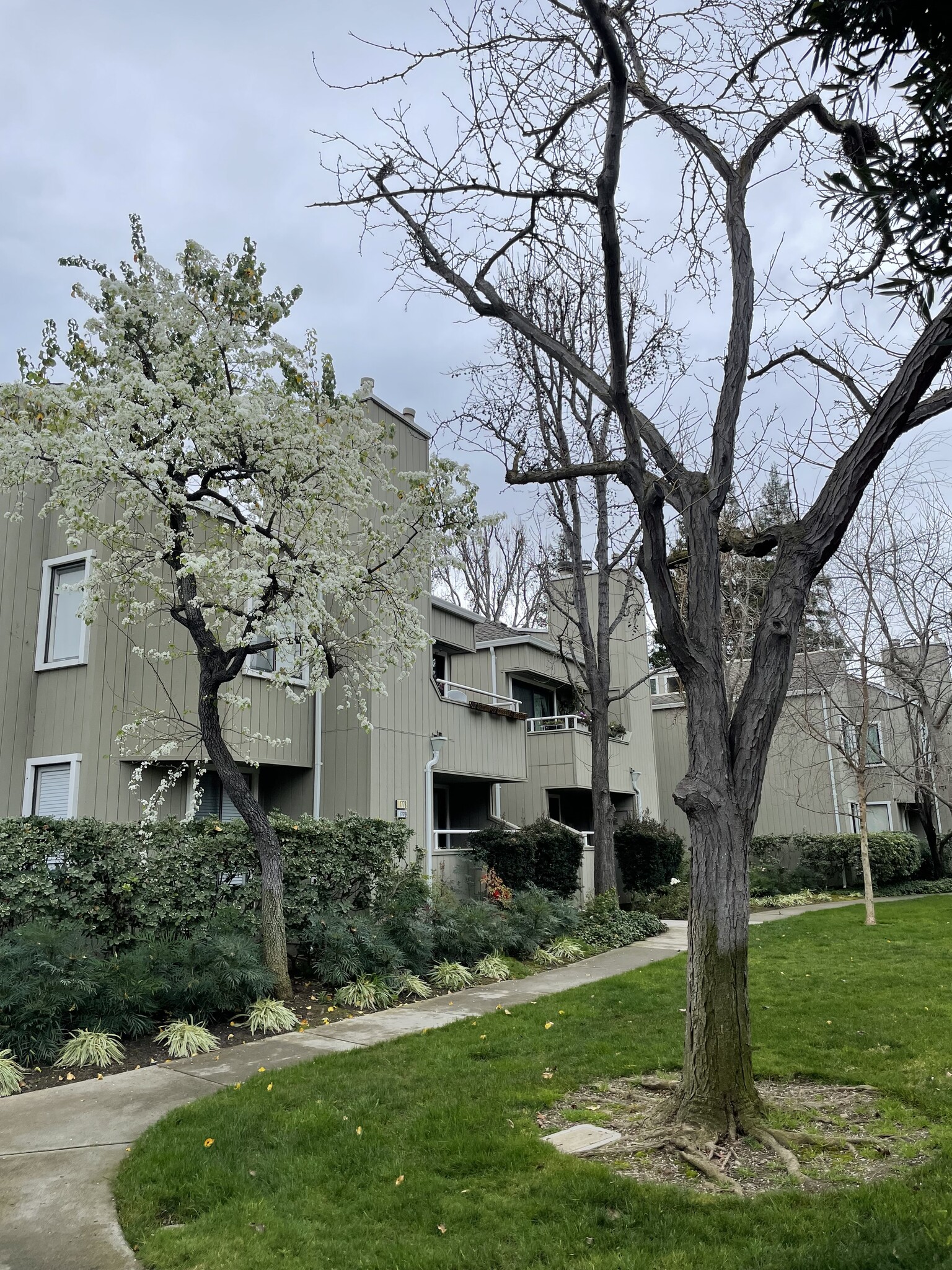 Building Photo - 1782 Braddock Ct
