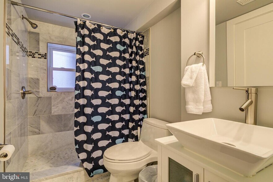 Basement Bathroom - 241 Rock Creek Church Rd NW