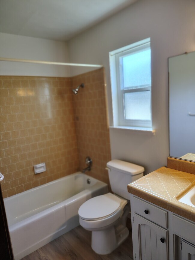 Downstairs Bath - 1100 S Edison St