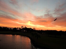 Building Photo - 2620 Cove Cay Dr