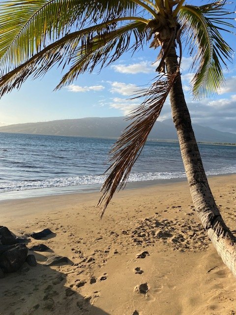 Building Photo - 18 Kai Makani Loop