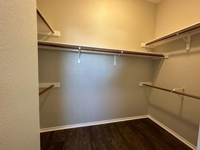 Building Photo - 1504 Zephyr Ln