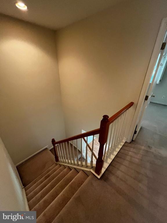 Building Photo - 244 S Azalea Ct