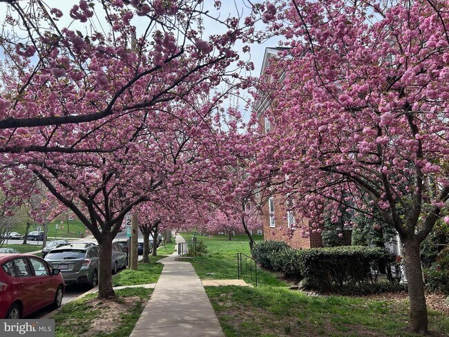 Building Photo - 3541 39th St NW