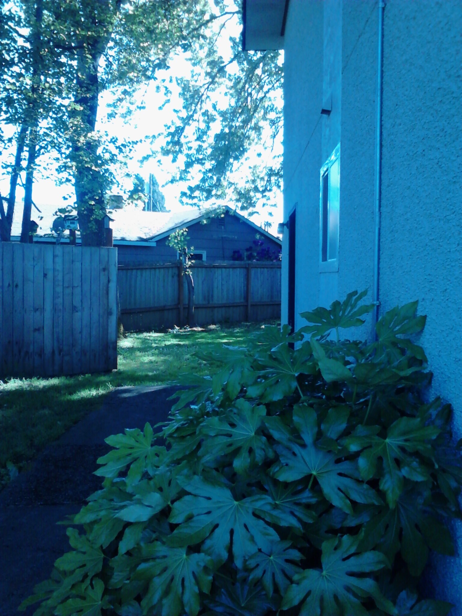 Building Photo - 101 N 10th St