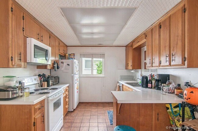 Building Photo - 5 Bedroom House in College East - Bright and Airy on Quiet Street!