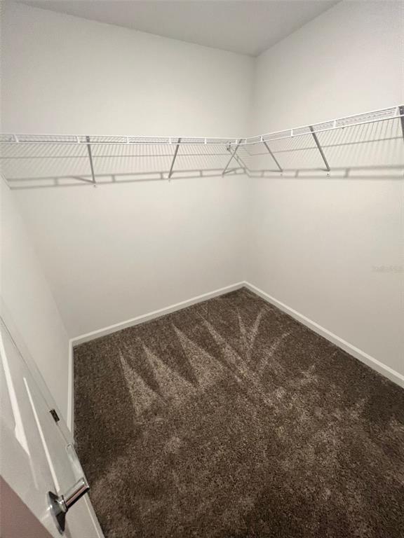 Building Photo - 34000 Sky Blossom Cir