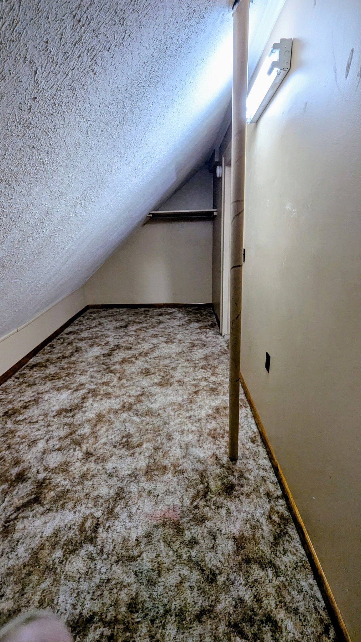 Storage Area - 1034 W Summer St