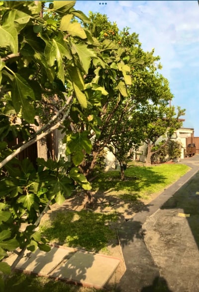 Building Photo - 15012 Lemoli Ave