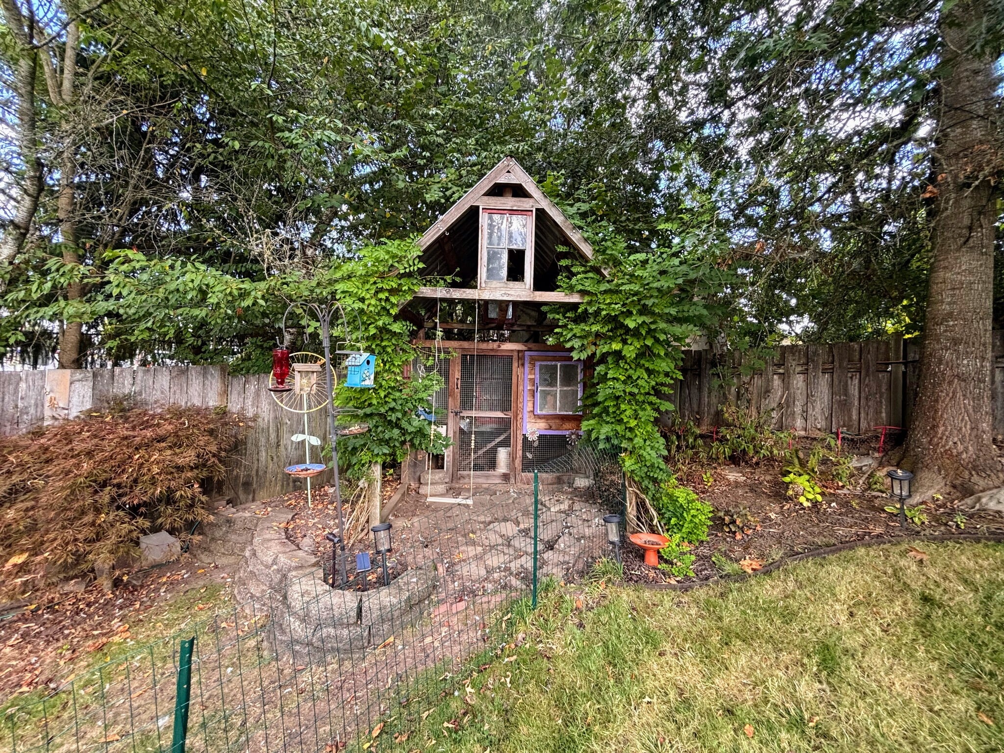 Chicken Coop - 1768 S Dogwood St