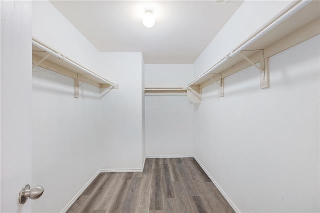 Building Photo - 7405 Howling Coyote Ln