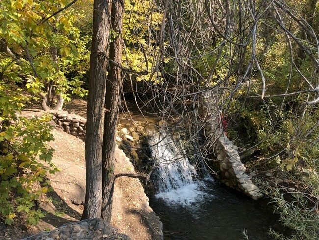 Building Photo - 214 N Canyon Rd