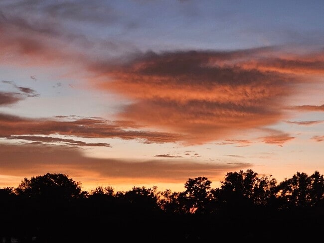 Building Photo - Beautiful 4 bedroom, 2 bathroom home near Legoland