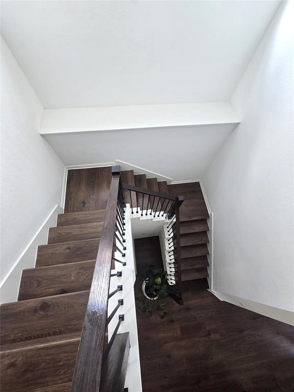 Building Photo - 2319 Cantata Cv