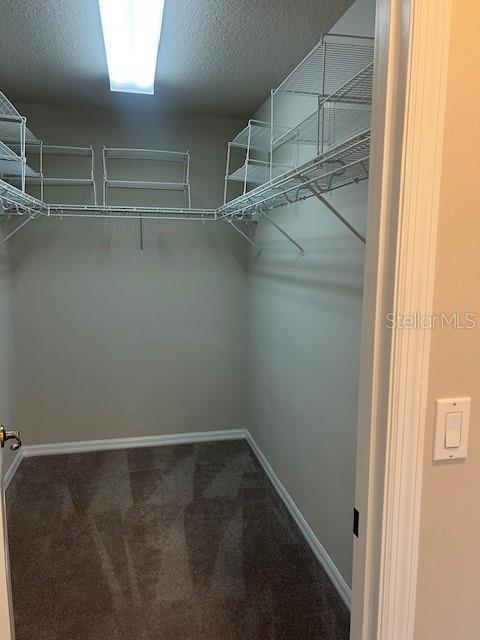 Building Photo - 8592 SW 60th Ct