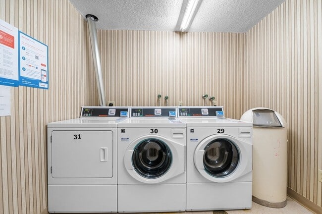 Building Photo - 1004 Paradise Rd