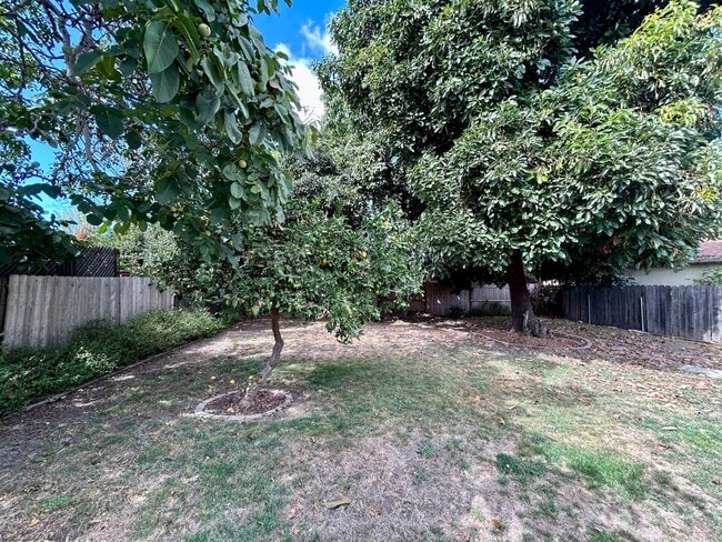 Building Photo - Exceptional Single Family House for Rent!