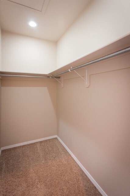 Building Photo - Beautiful duplex with granite countertops ...