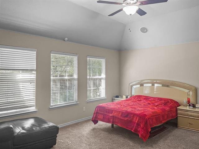 Building Photo - 3800 Blanco Creek Trail
