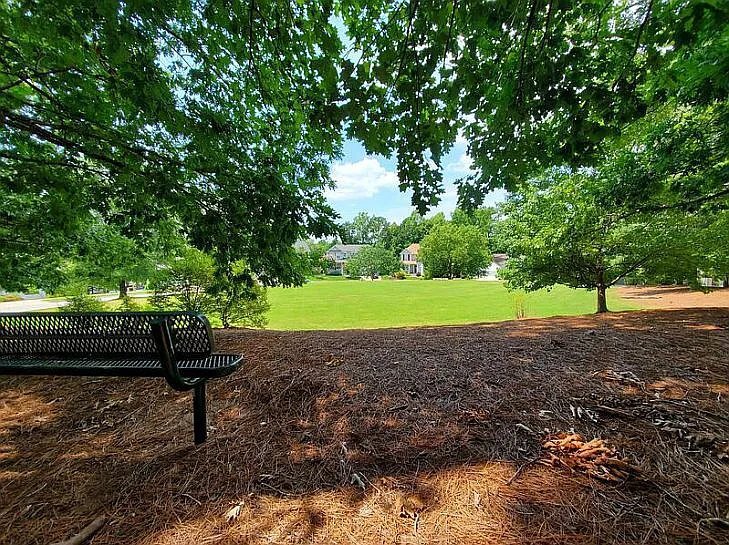 Building Photo - 513 Village Loop Dr