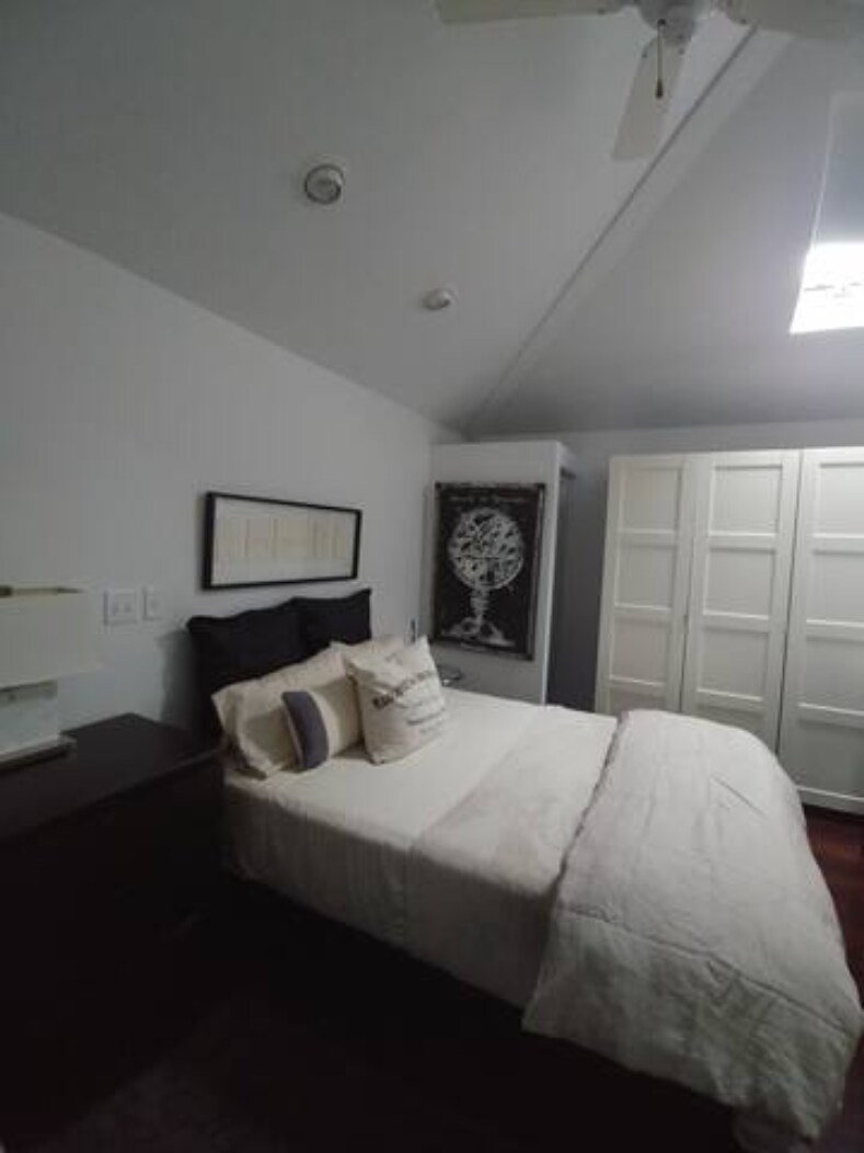 Bedroom skylight w/darkening shade - 46 Spring St
