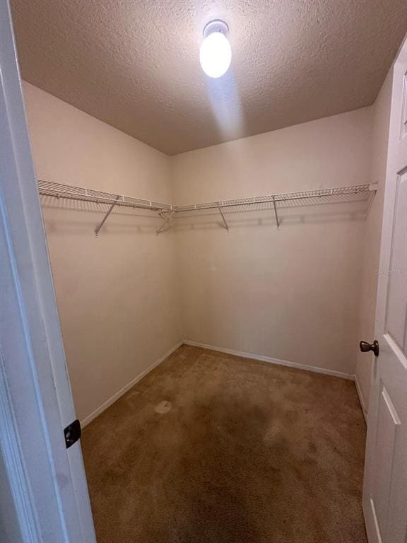 Building Photo - 820 Camargo Way