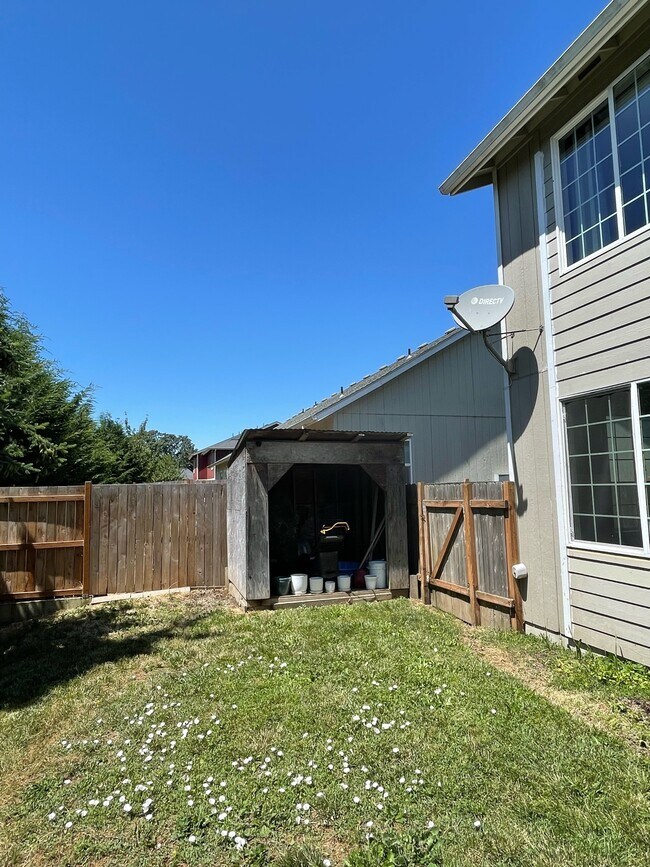 Backyard - 832 Umpqua St