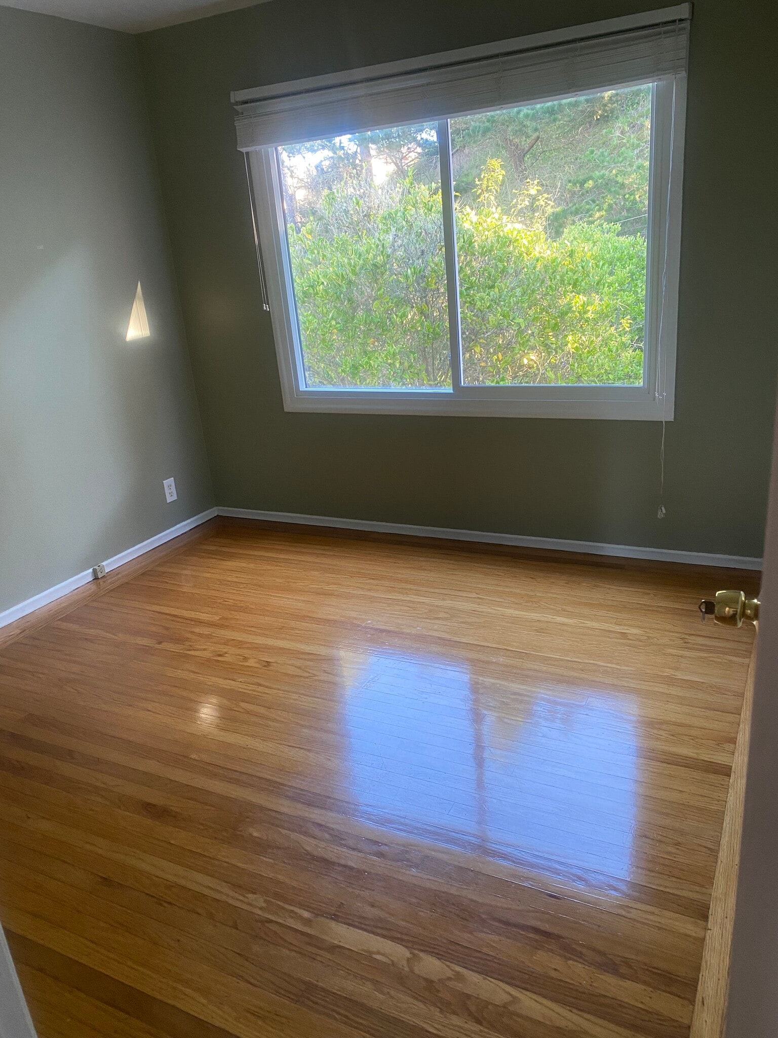 Building Photo - 204 Palisades Dr