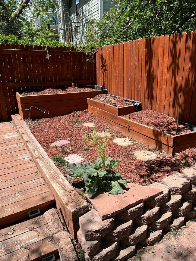 Building Photo - 4 Bedroom Gardener's Delight With Rooftop Patio, Privacy and Covered Parking