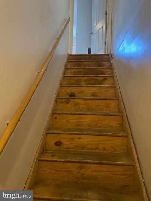 Building Photo - 353 Braeside Ave