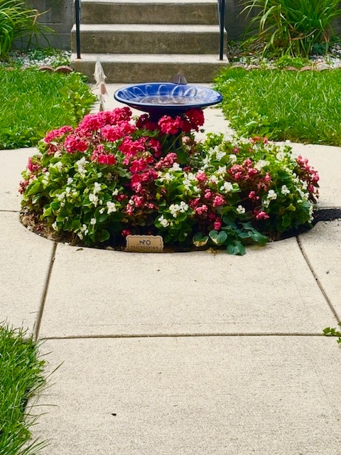 Backyard bird bath - 1618 S Washtenaw Ave