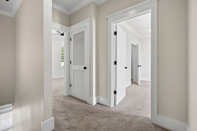 Building Photo - Luxury Condo!