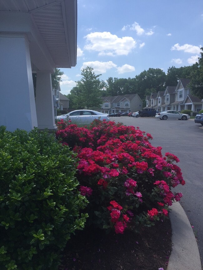 Building Photo - 3535 Bell Rd