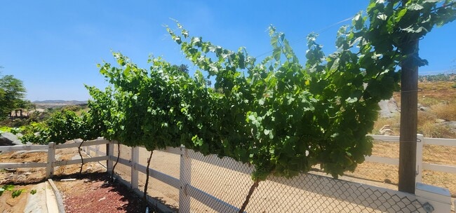 Building Photo - 23903 Trail Duster Ct