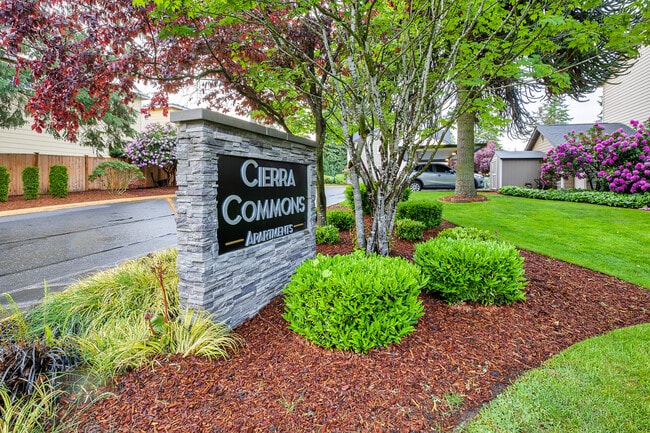 Primary Photo - Cierra Commons