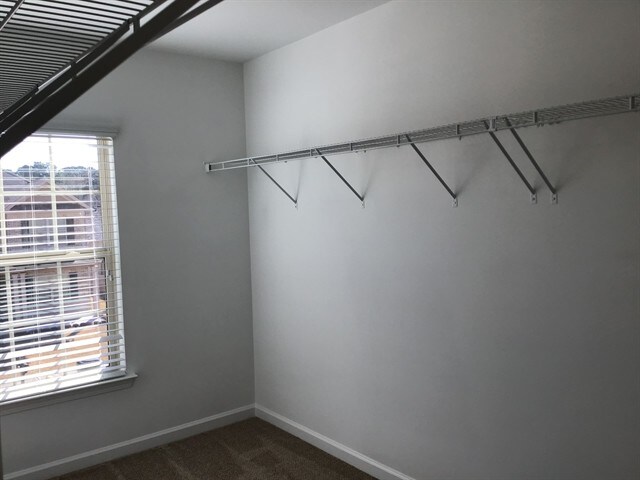 Building Photo - 1290 Rose Terrace Cir