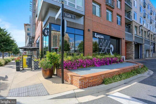 Pike & Rose - 11801 Rockville Pike